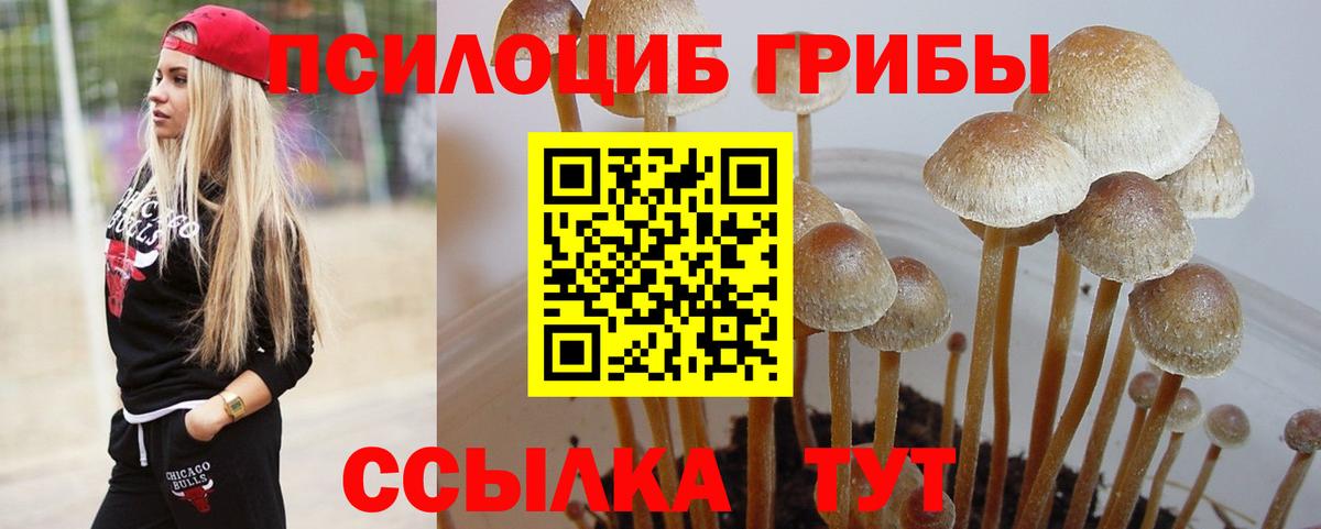 Галлюциногенные грибы мицелий Ржев